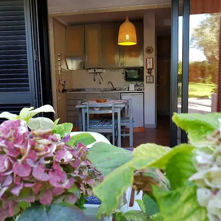 Appartement Casa Ferias Laura Clube Da Bemposta *